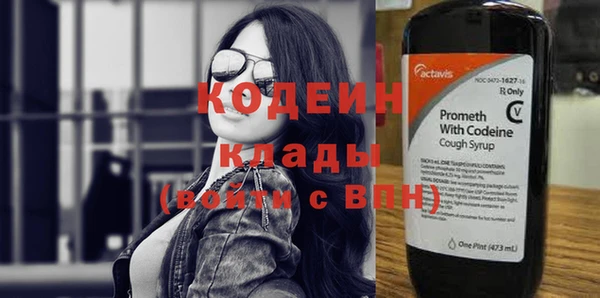 хмурый Белокуриха
