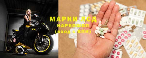 хмурый Белокуриха