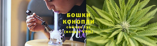 хмурый Белокуриха