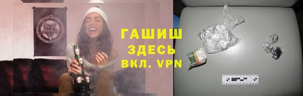 хмурый Белокуриха