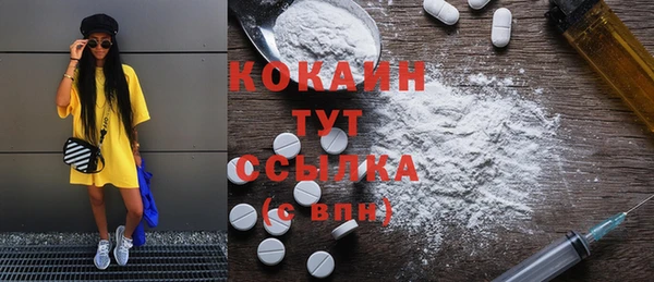 хмурый Белокуриха