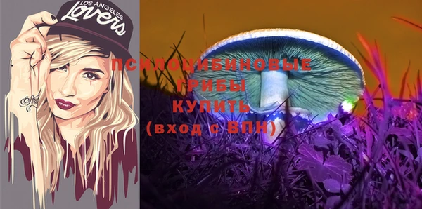 хмурый Белокуриха