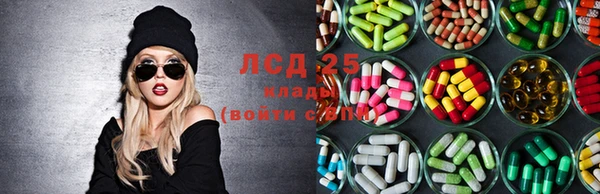 ПСИЛОЦИБИНОВЫЕ ГРИБЫ Белоозёрский