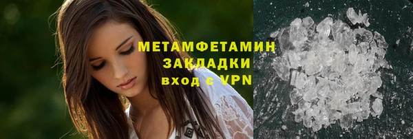хмурый Белокуриха