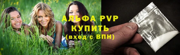 ПСИЛОЦИБИНОВЫЕ ГРИБЫ Белоозёрский
