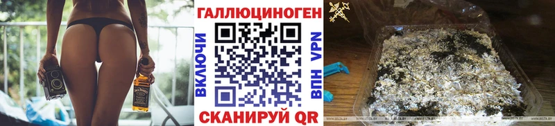 Купить  Усть-Кут  Галлюциногенные грибы Psilocybine cubensis 